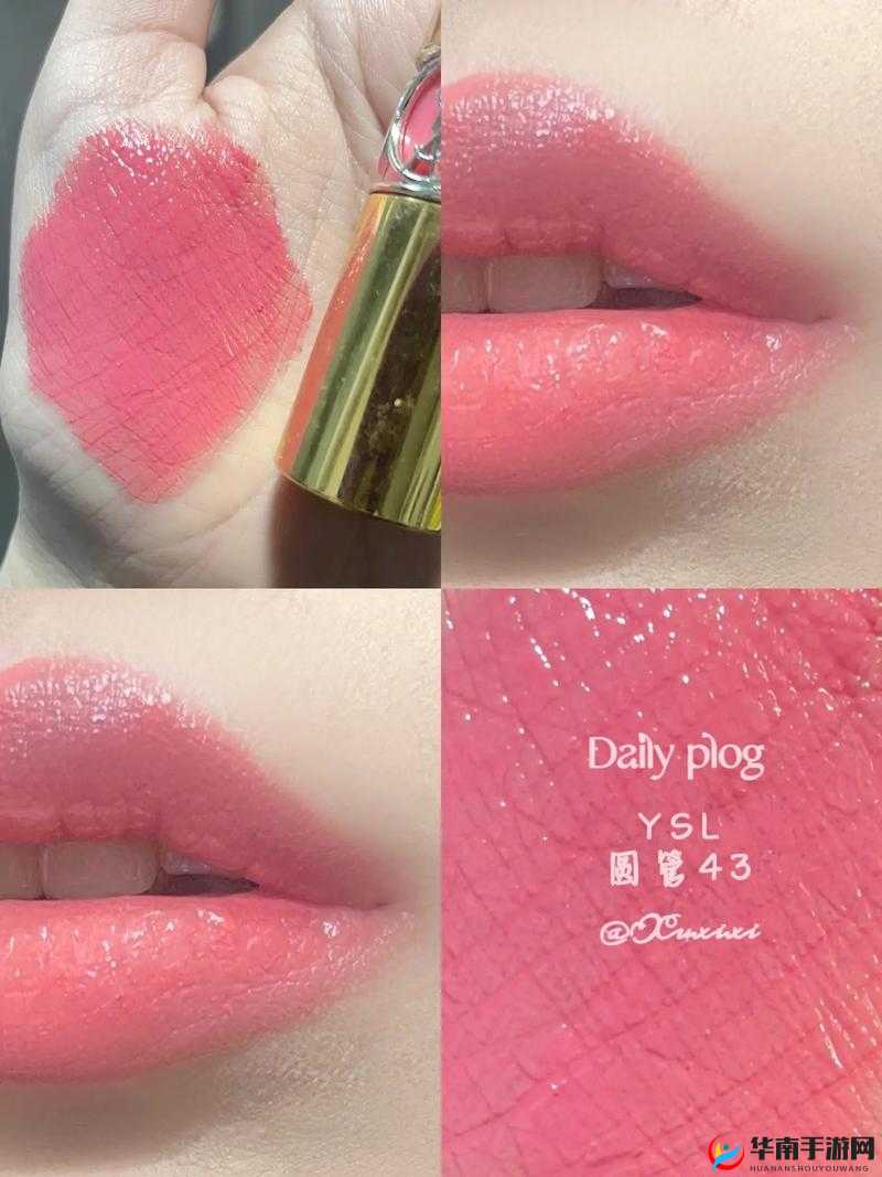 YSL 蜜桃色 WWW ：展现魅力的时尚色彩之选