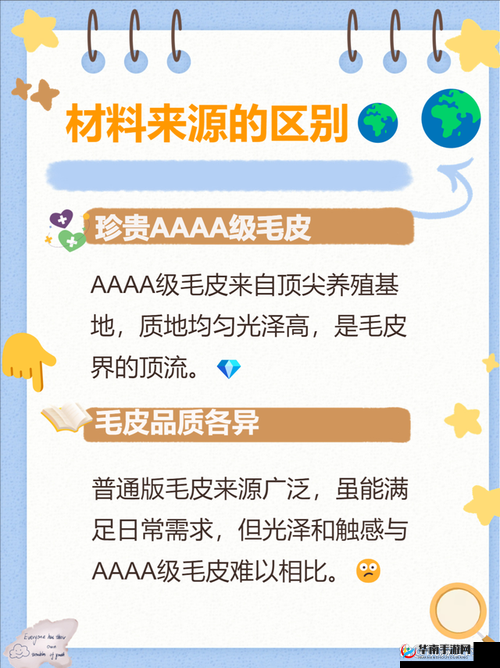 AAAA 级毛皮是纯还是仿？专家解读告诉你答案