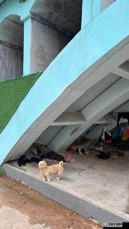 流浪汉神秘拉我进桥底背后有何故事