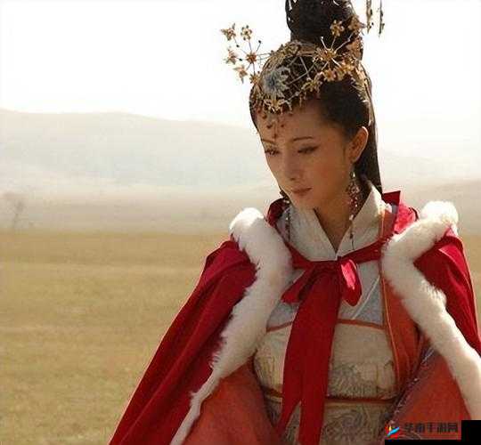 一把抓住王昭君的两只兔子：这一行为引发的争议与思考