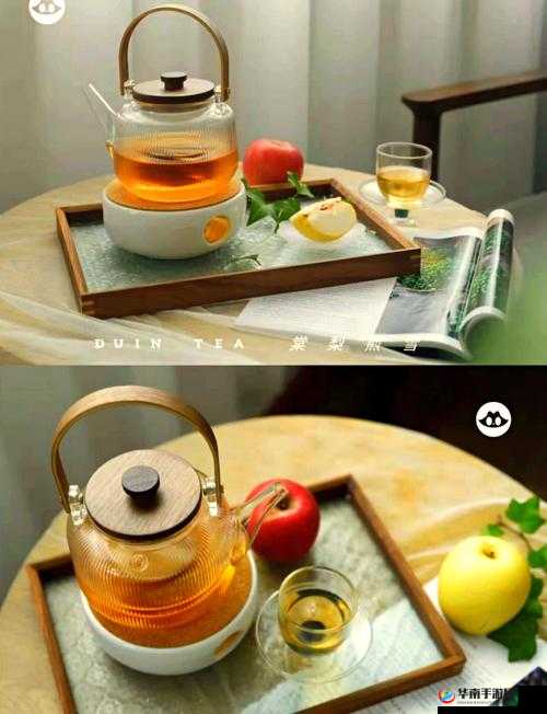 MAX313 国产与棠梨煎雪的独特融合与魅力