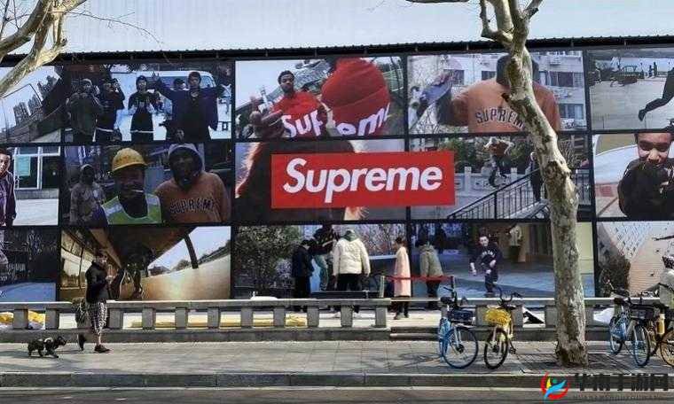 Supreme 国产版本：探索本土潮流品牌的创新之路