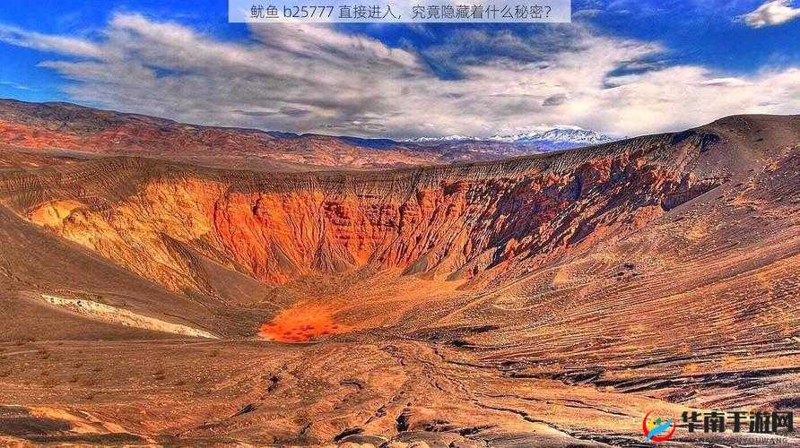 鱿鱼 B25777 直接进入：开启未知的神秘冒险之旅