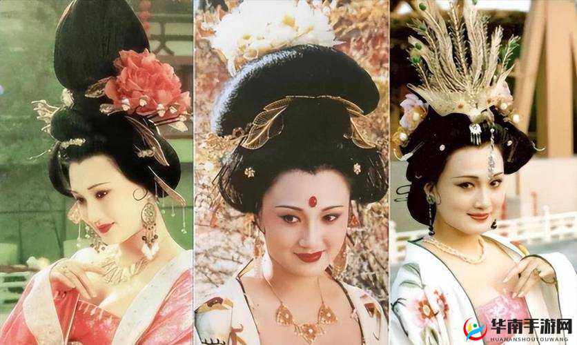 丰裕纵满杨玉环 2588 演员表所揭示的内涵