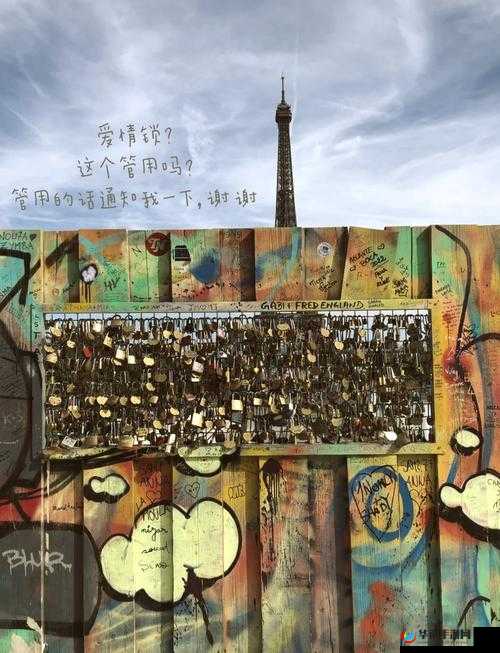 输入 WWW 你会感谢我并由此展开的奇妙之旅