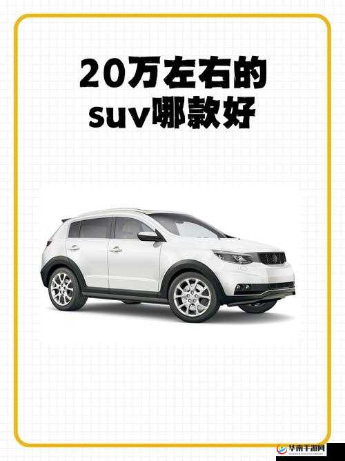 国产 SUV 精品一区二国产 SUV：国产 SUV 市场的璀璨明珠与未来发展趋势