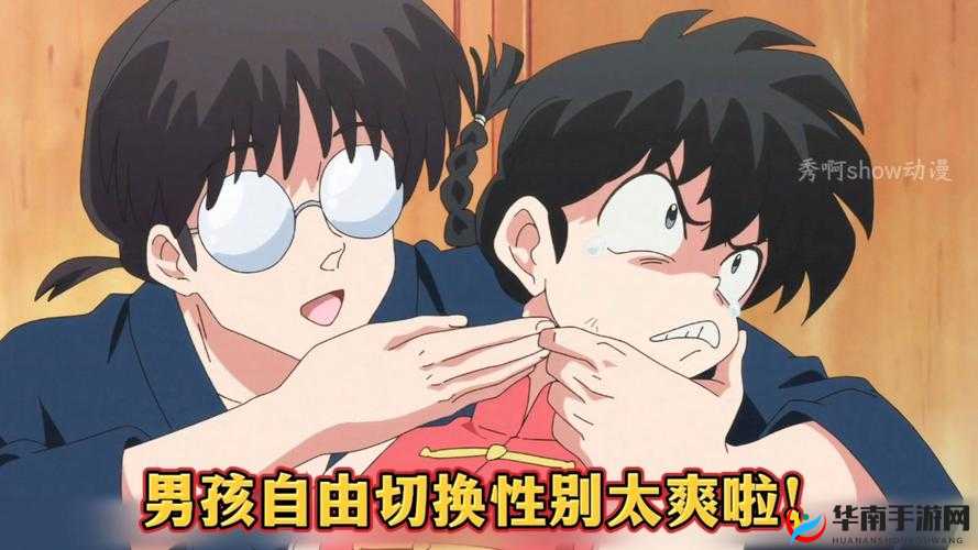 性别自由凸轮管：探索两性关系的新视角