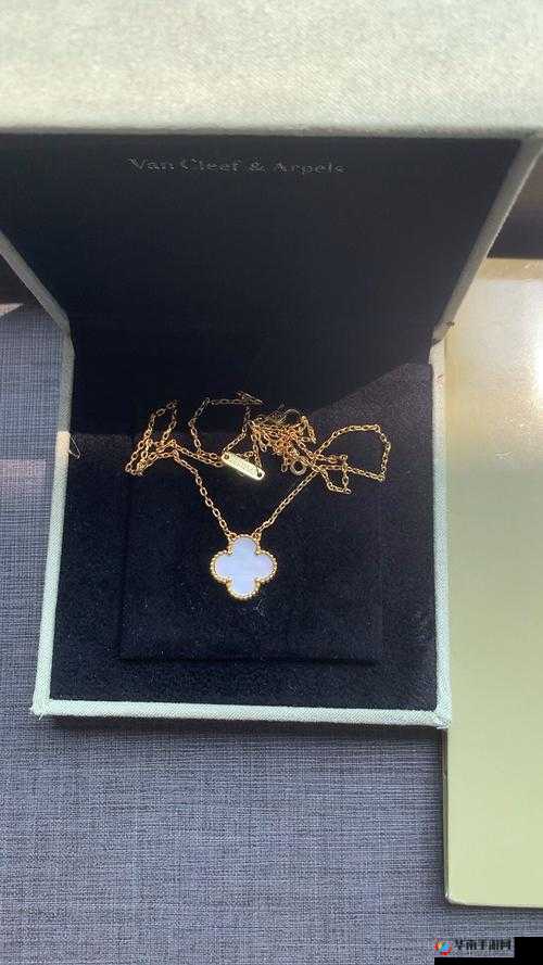 JB632583 四叶草项链 VCA750 的传奇：永恒魅力背后的璀璨故事