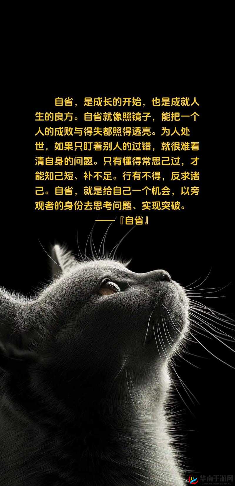 抬头看镜子我们继续：在反思中不断前行成就更好的自己