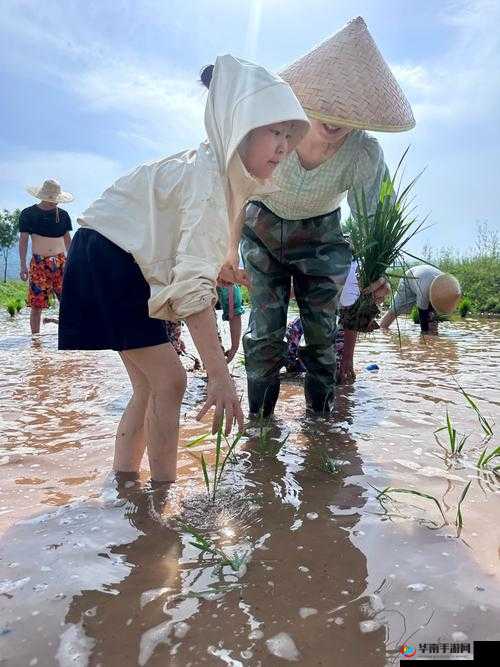 浪漫插秧与亲密插秧的区别：浪漫插秧注重情感体验，亲密插秧更强调身体接触