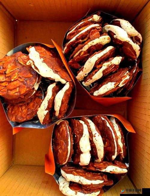 双胞胎一前 一后夹心饼干 ：口感独特令人陶醉的美味之选