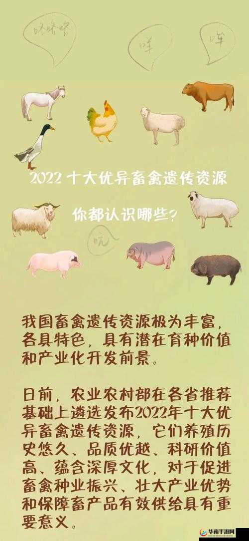 日本畜禽 CORPORATION 引领畜禽产业新发展