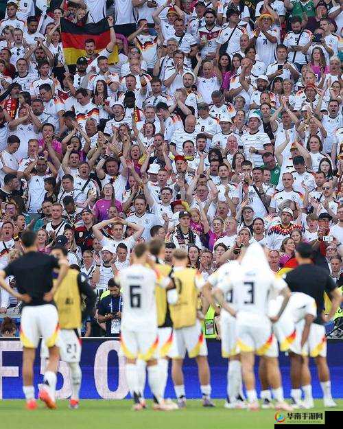 德国大 8BW：一场足球盛宴的激情与荣耀