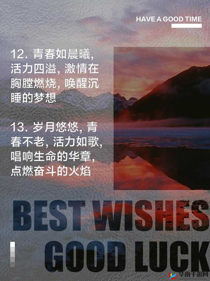 充满野性的青春：释放激情与活力的热血征程