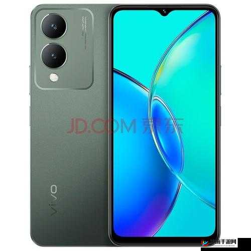 一级成色好的 Y31s 标准版测评：深度剖析其卓越性能与特色亮点