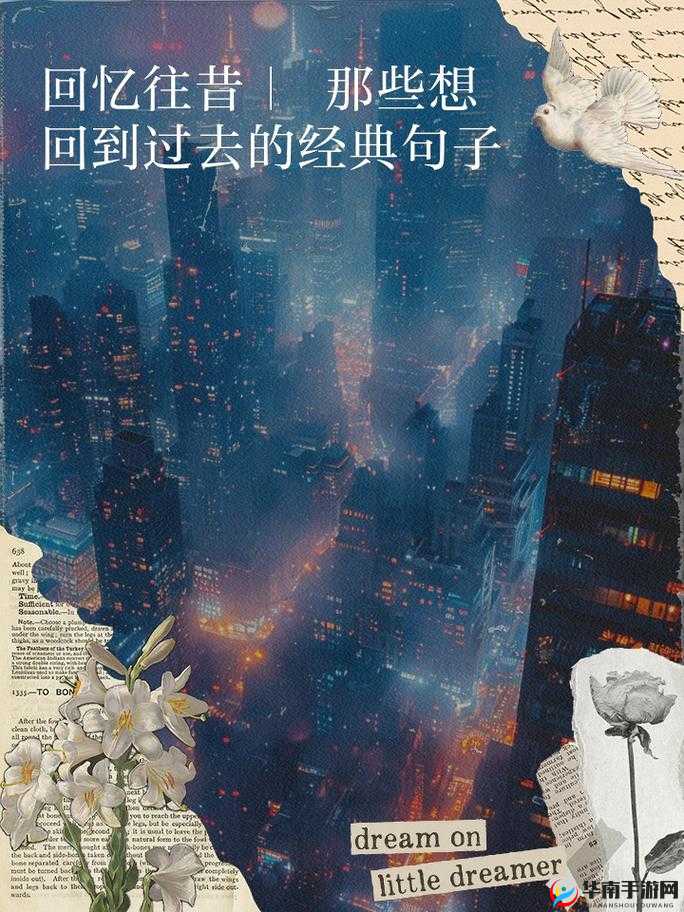 九幺旧版本：重温往昔岁月的经典魅力之旅