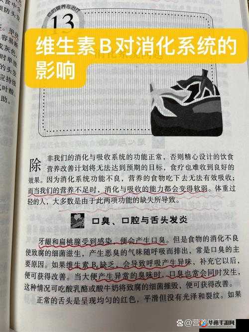 B 和 B 为什么不一样：探究差异的本质