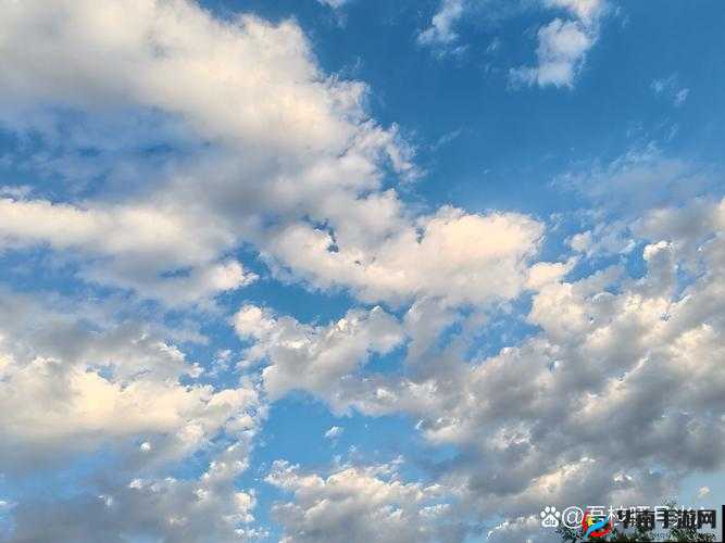 室友趣事与挑战：大学生活的别样风景