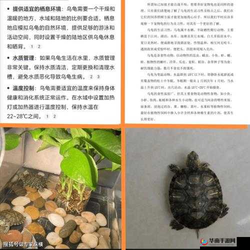 生物课上全班人面前令人惊叹的极致体验