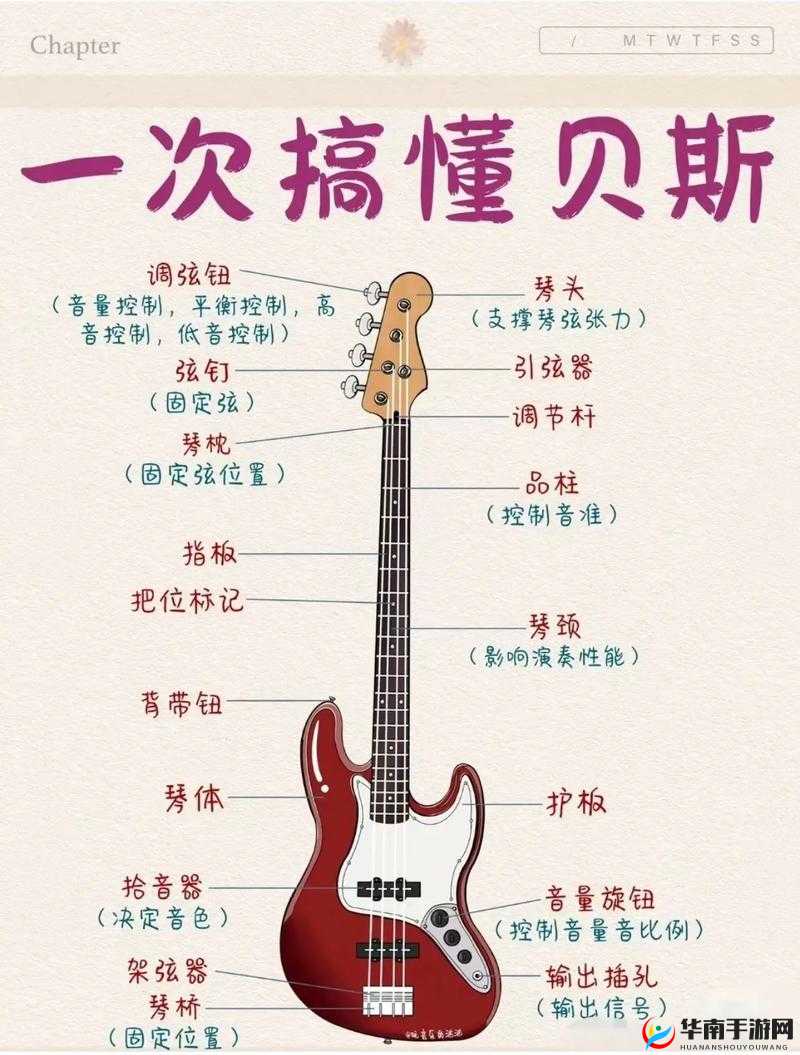 BBOX 入门 BASS 技巧全解：从基础到进阶
