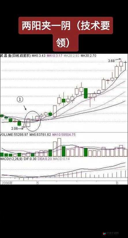 一阴吞两阳怎么做的根据提供内容更丰富且详细解读