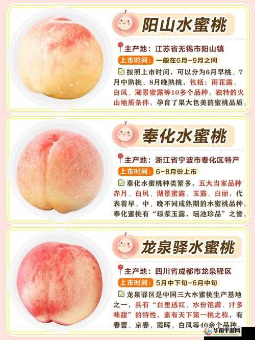 日本水蜜桃身体：探索其独特魅力与营养价值