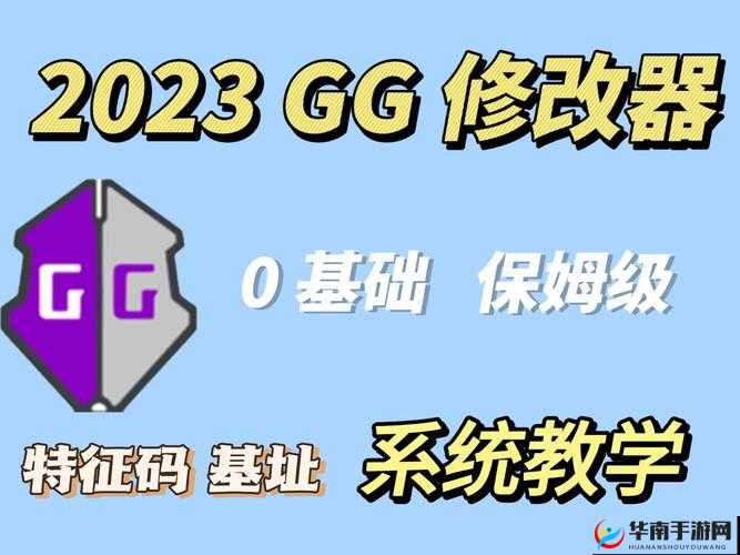 钙 GG Y2023：从技术到应用的全面探索