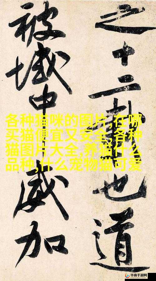 MD豆传媒一二三区：关于其发展历程与影响力的深入探讨