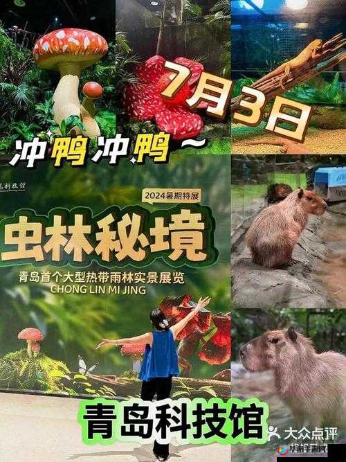 双胞胎姐妹齐上阵秘境探险说奇遇：她们在秘境中究竟经历了什么