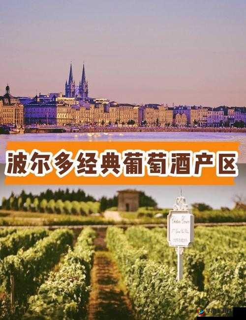 99 精产国品一二三产区区别在线：全方位解析不同产区的特点