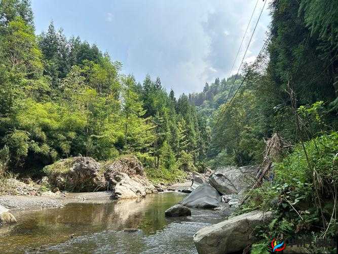 黄龙直捣溪水潺潺全新发布作品：一部值得期待的精彩之作