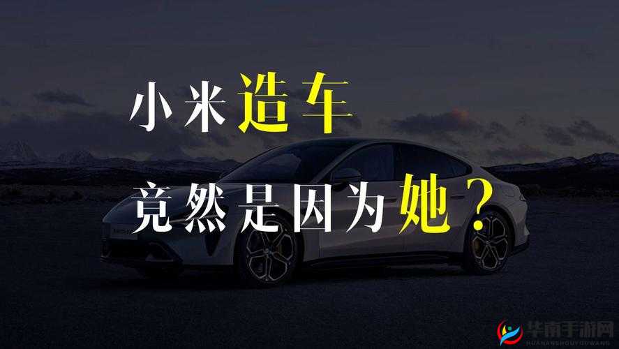 无尺码精品产品不再更新：探寻背后原因及行业影响