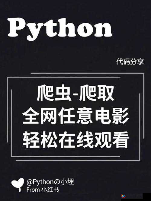 小电影的网站 PYTHON 爬虫：深度解析与实战技巧分享