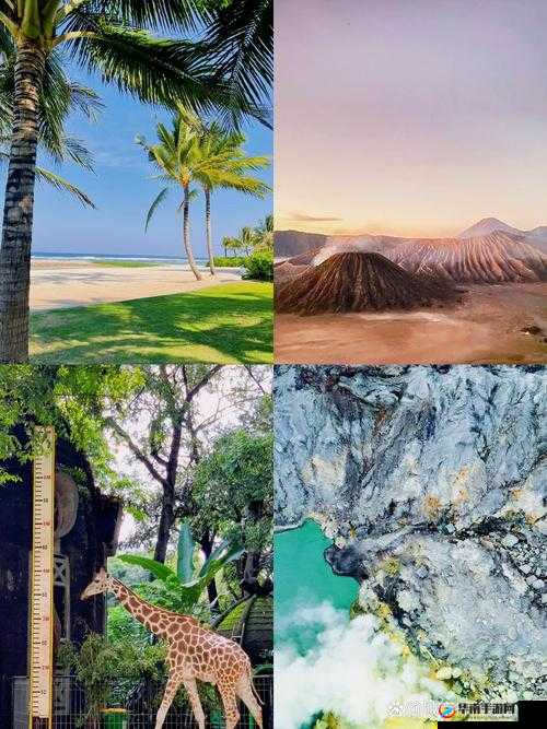 JAPONENSISJAVACOMPLETE  - 探索独特的文化与技术融合之旅