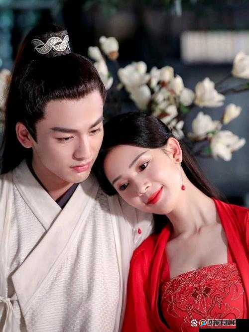 少女大人：苏瓷探案追凶，携手裴昭共破奇案