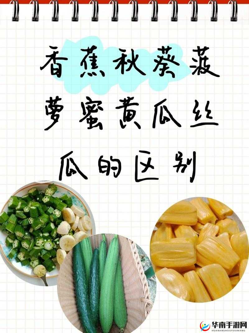 如何区分香蕉、秋葵、菠萝蜜、黄瓜和丝瓜