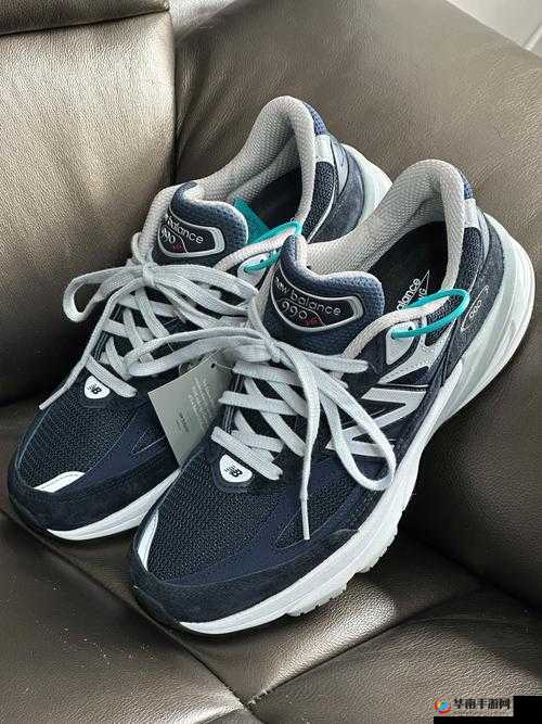 990v6 美版和亚洲版有什么区别探究其差异与特点