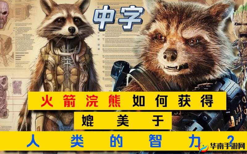 最近中文字幕无吗是否真的存在相关探讨