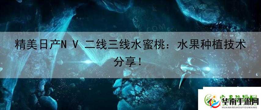 揭秘精美日产nv二线三线水蜜桃：探寻其背后的秘密与特点
