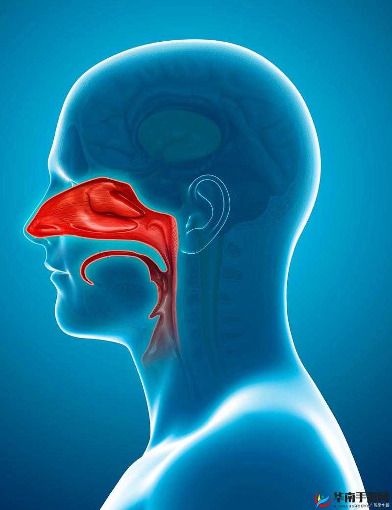 剧烈运动后下面流血了是何原因需警惕