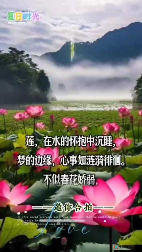 女人半夜莲花开很难受怎么办：探寻缓解不适之法