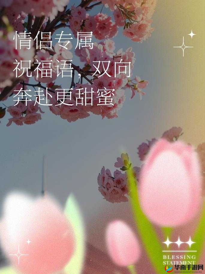 私人情侣中文网——甜蜜情侣的专属交流平台