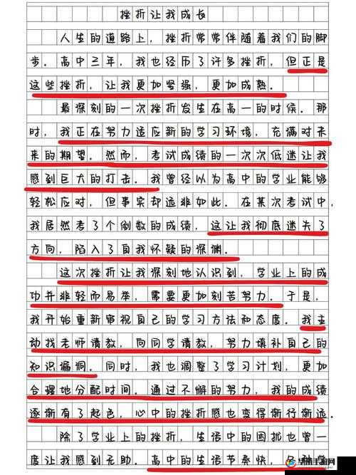 美国人 669 及其背后的故事与文化内涵解析