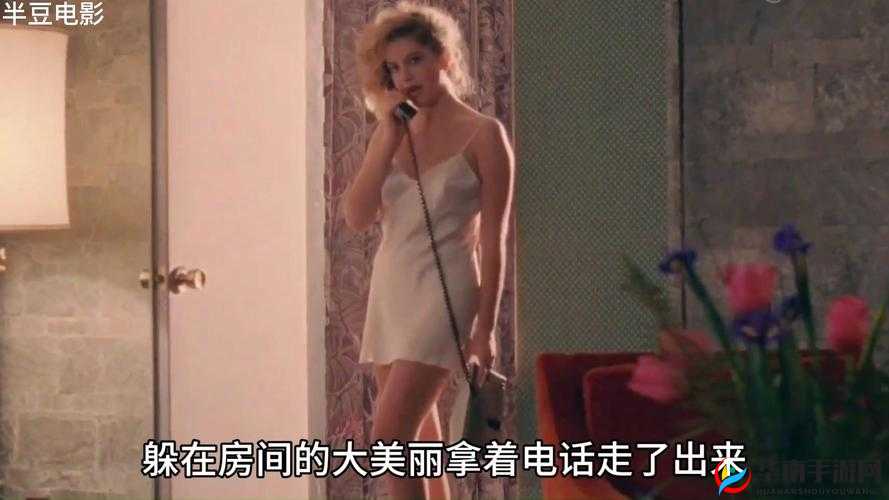 法国满天星酒店服务生：在浪漫之都的服务之旅