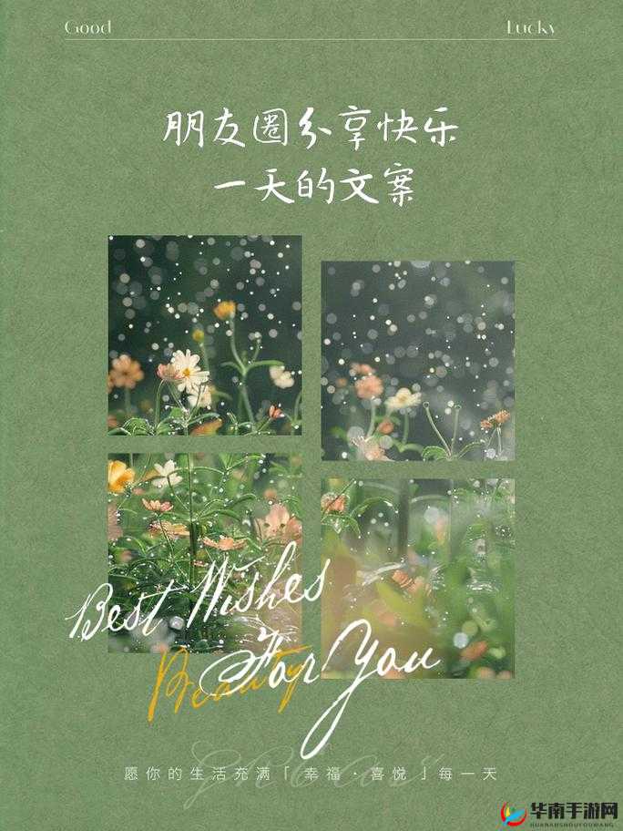 和朋友交换后快乐讲述的那些事：分享带来的无尽喜悦