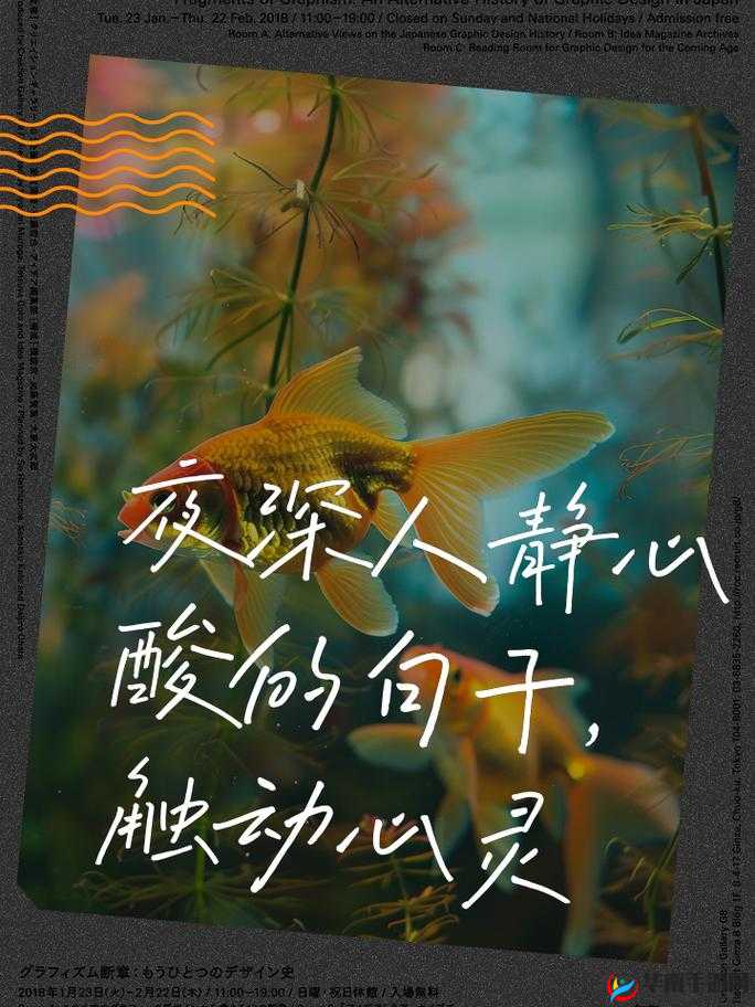 适合一个人晚上看的亏：让心灵在静谧中感受别样的触动