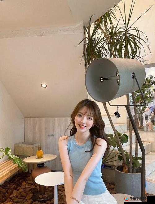 钟宛冰麻豆的精彩演绎与独特魅力