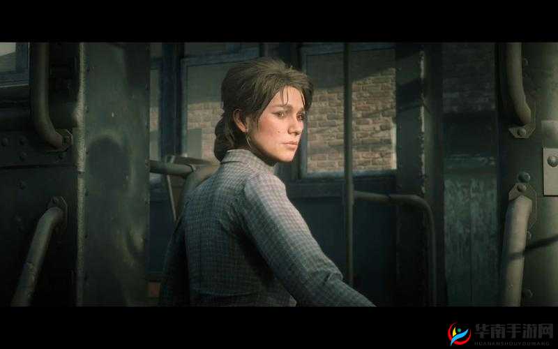 荒野大镖客 2 暴躁老奶奶：她在西部世界的传奇冒险故事