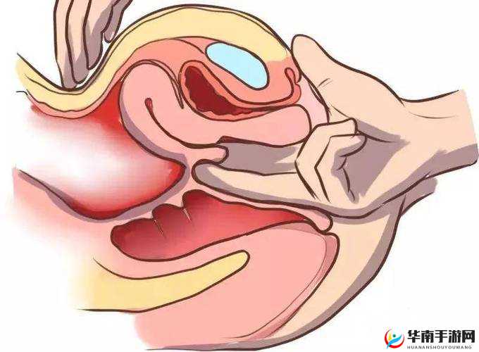 老熟妇们腚眼目录：探索女性身体的私密领域