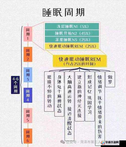 睡眠 X 指导 4：科学睡眠的全方位解析与实用建议